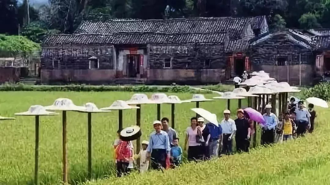 南京道康机电设备有限公司_南京道农康农产品_南京南农康大生物工程有限公司