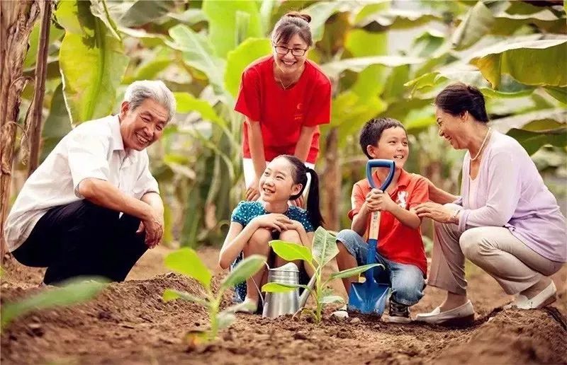 南京道农康农产品_南京道康机电设备有限公司_南京南农康大生物工程有限公司