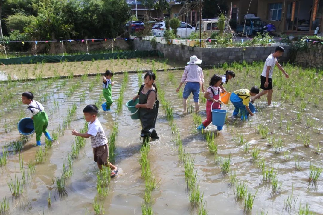 南京道康新材料有限公司_南京道农康农产品_南京南农康大生物工程有限公司