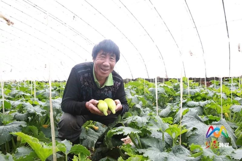 长治太行农产品物流园_太行农业有限公司_太行山农产品物流园