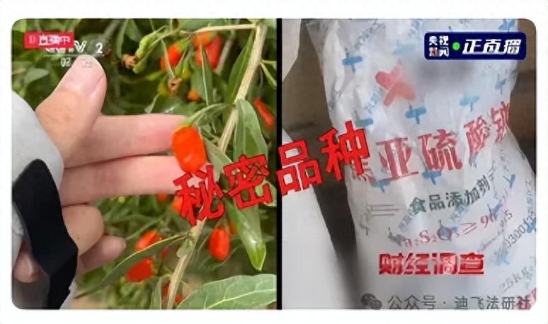 央媒曝光毒枸杞，监管部门应如何出手整治乱象？