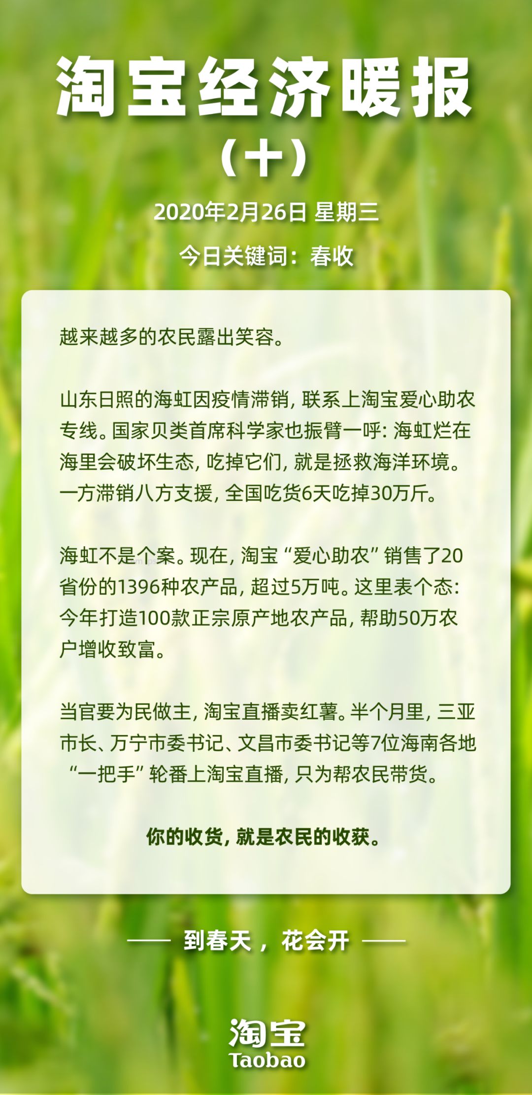 在淘宝卖农产品需要什么条件_农卖淘宝产品上什么网站_如何在淘宝上卖农产品