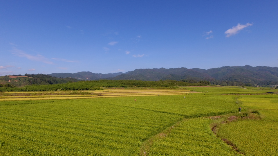 简述农产品产地初加工的好处_农产品初加工属于什么用地_农产品产地初加工项目