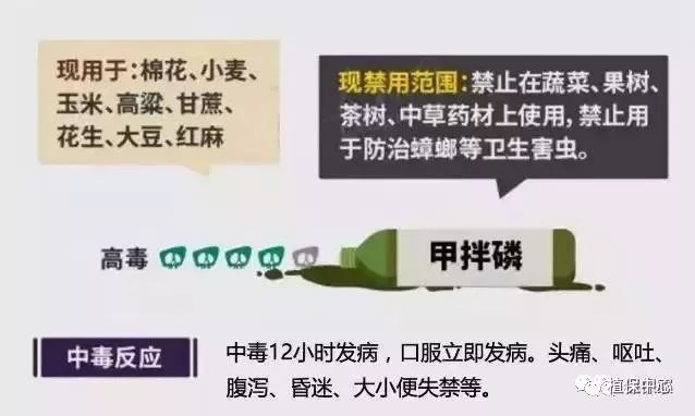 禁用农药农产品的原因_农产品禁用农药_禁用农药使用名录