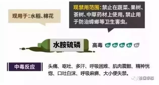 禁用农药使用名录_禁用农药农产品的原因_农产品禁用农药