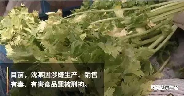 禁用农药农产品的原因_农产品禁用农药_禁用农药使用名录