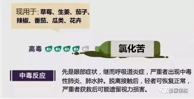 禁用农药使用名录_禁用农药农产品的原因_农产品禁用农药