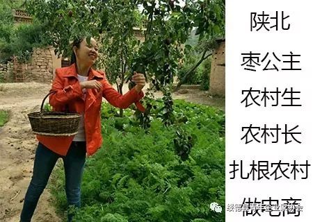 陕西农产品加工_陕北有哪些可以深加工的农产品_陕北农副产品有哪些