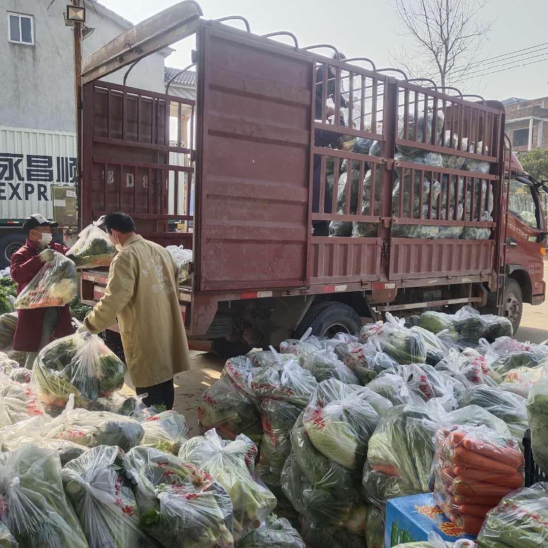 难农卖问题产品怎么解决_农产品卖难问题原因_农产品卖难问题