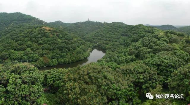 农村合作社农产品销路_大型农业合作社_茂名大山农产品合作社