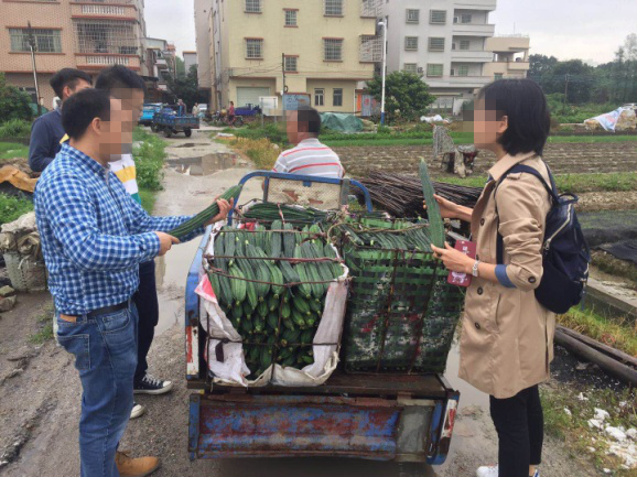 无公害农产品产地认证证书_无公害农产品产地_无公害农产品产地认定