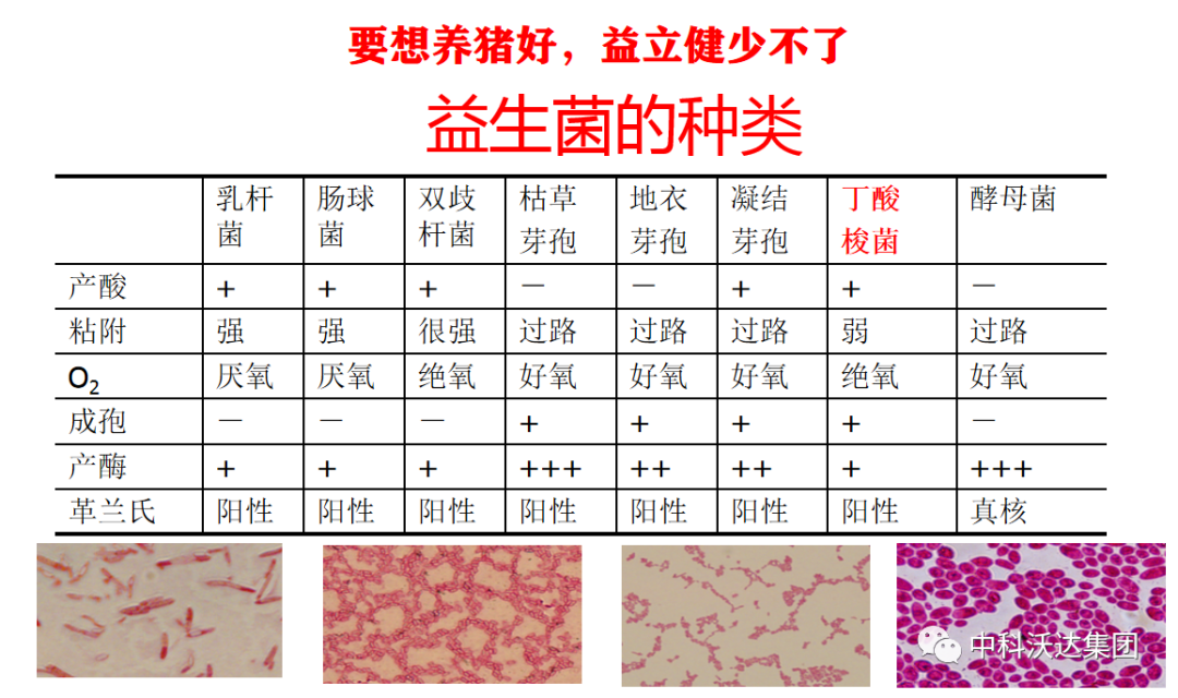 卖农产品需要什么资质_资质农卖产品需要什么手续_卖农产品需要许可证吗