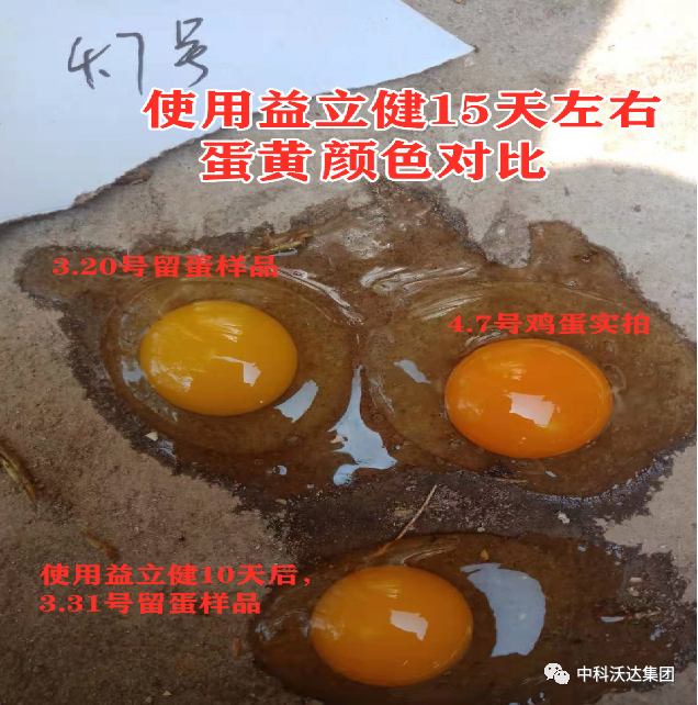 卖农产品需要许可证吗_资质农卖产品需要什么手续_卖农产品需要什么资质