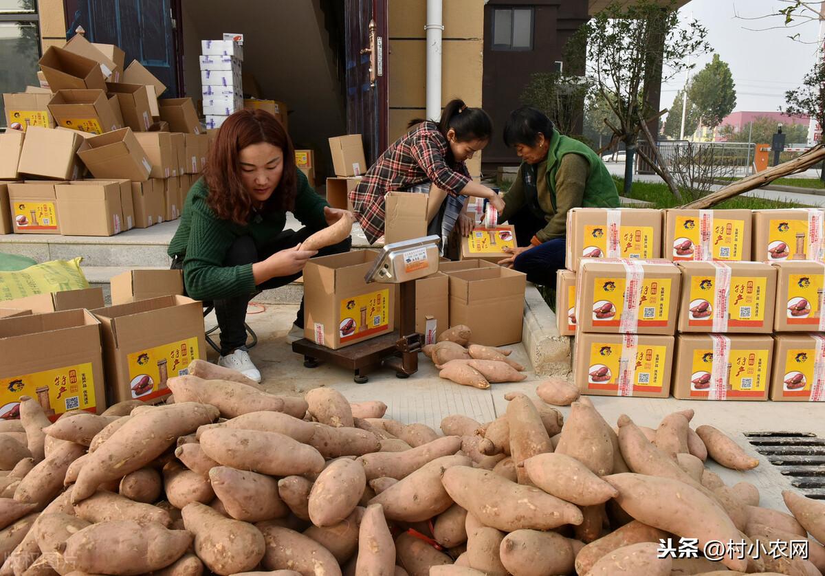 农产品营销的形式_农产品营销手段_农产品营销方式