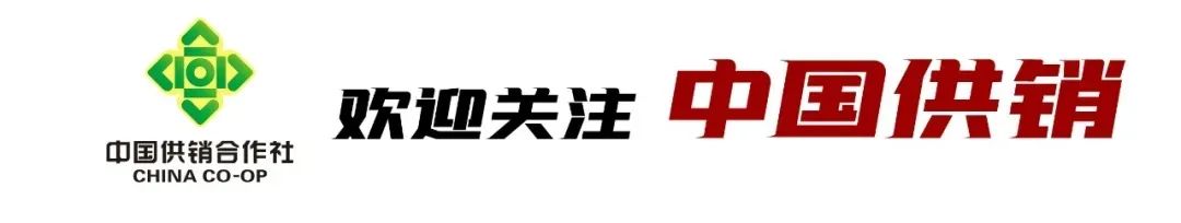 深入学习贯彻习近平新时代中国特色社会主义思想，推动供销合作社冷链物流发展