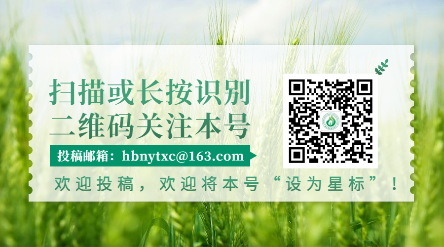 吉林省电子商务商会_吉林省农村电子商务_吉林省农产品电子商务成功案例