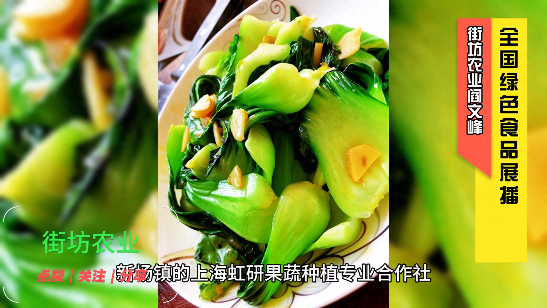 全国绿色食品展播：上海虹研果蔬种植专业合作社的绿色青菜