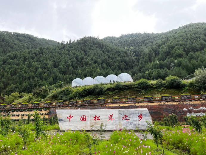 水果苹果衍生产品_农产品衍生品是什么_苹果的衍生农产品