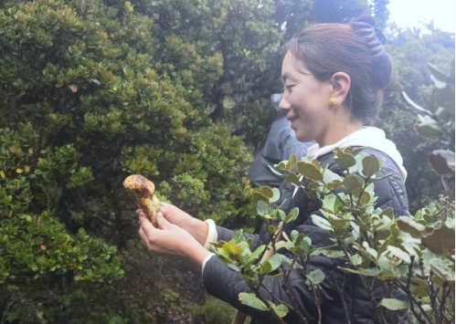 苹果的衍生农产品_水果苹果衍生产品_农产品衍生品是什么