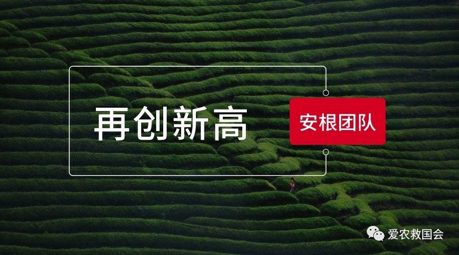 茶园生态化建设与植物保护：实现农业发展与生态保护的平衡