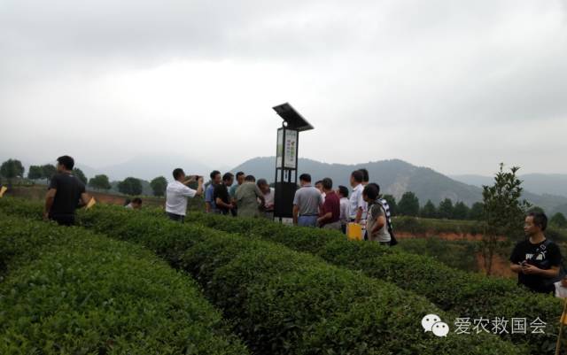 植物保护与农产品质量安全书籍_植物保护与农产品质量安全_植物保护农药与农产品安全方向