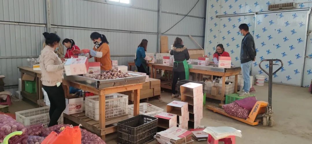 农产品电子商务公司_农产品电商公司简介_农产品电商企业简介