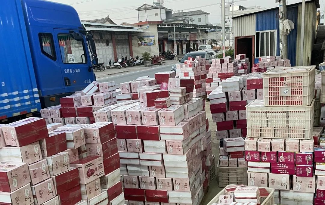 农产品电子商务公司_农产品电商企业简介_农产品电商公司简介