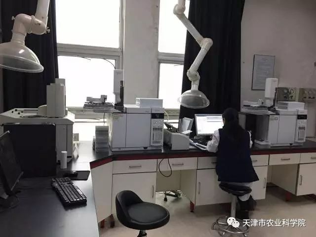 基因农转产品是什么_基因农转产品有哪些_转基因农产品