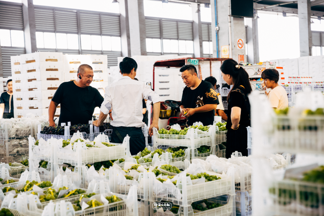 上海西郊国际农产品批发市场_上海西郊国际农产品批发市场_上海西郊国际农产品批发市场