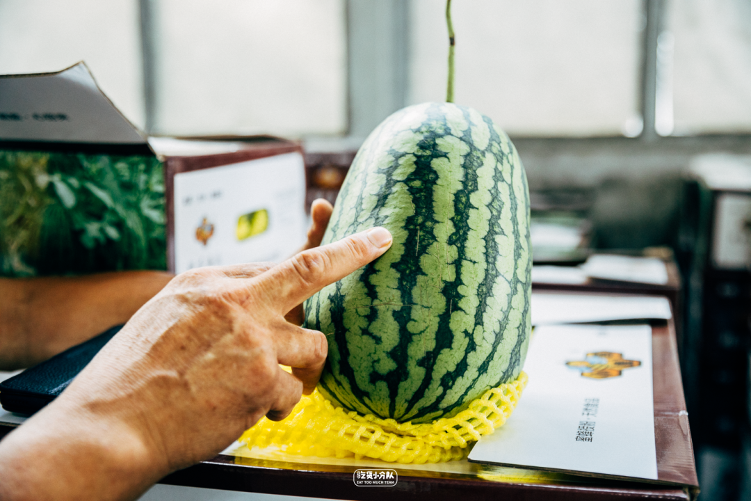 上海西郊国际农产品批发市场_上海西郊国际农产品批发市场_上海西郊国际农产品批发市场