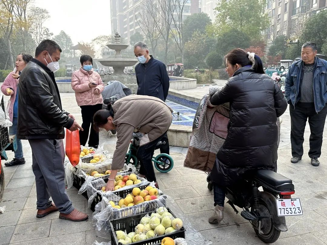 放心农吧_放心农产品 社区_放心农产品供销社是个什么模式