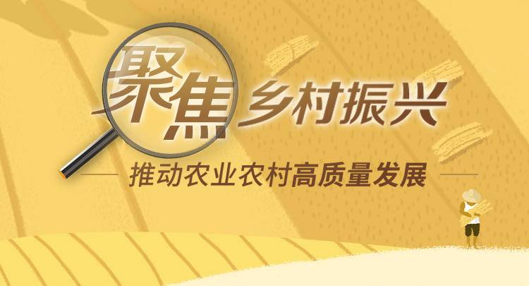 农产品专属身份证：二维码追溯系统助力农产品质量安全追溯