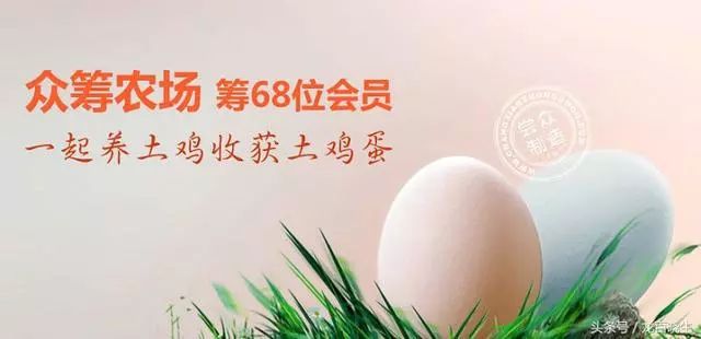 我国农村电商的主要模式_农户电商商业模式_农产品电商模式