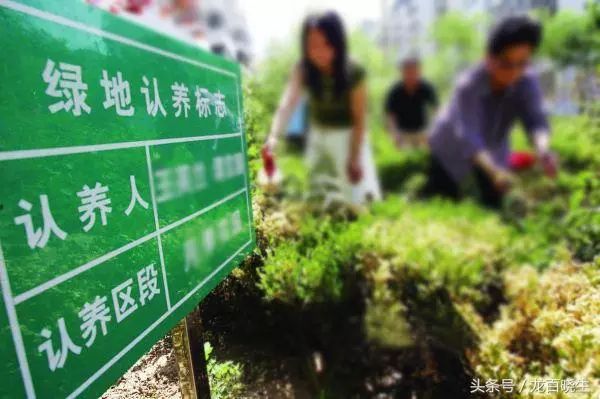 我国农村电商的主要模式_农产品电商模式_农户电商商业模式