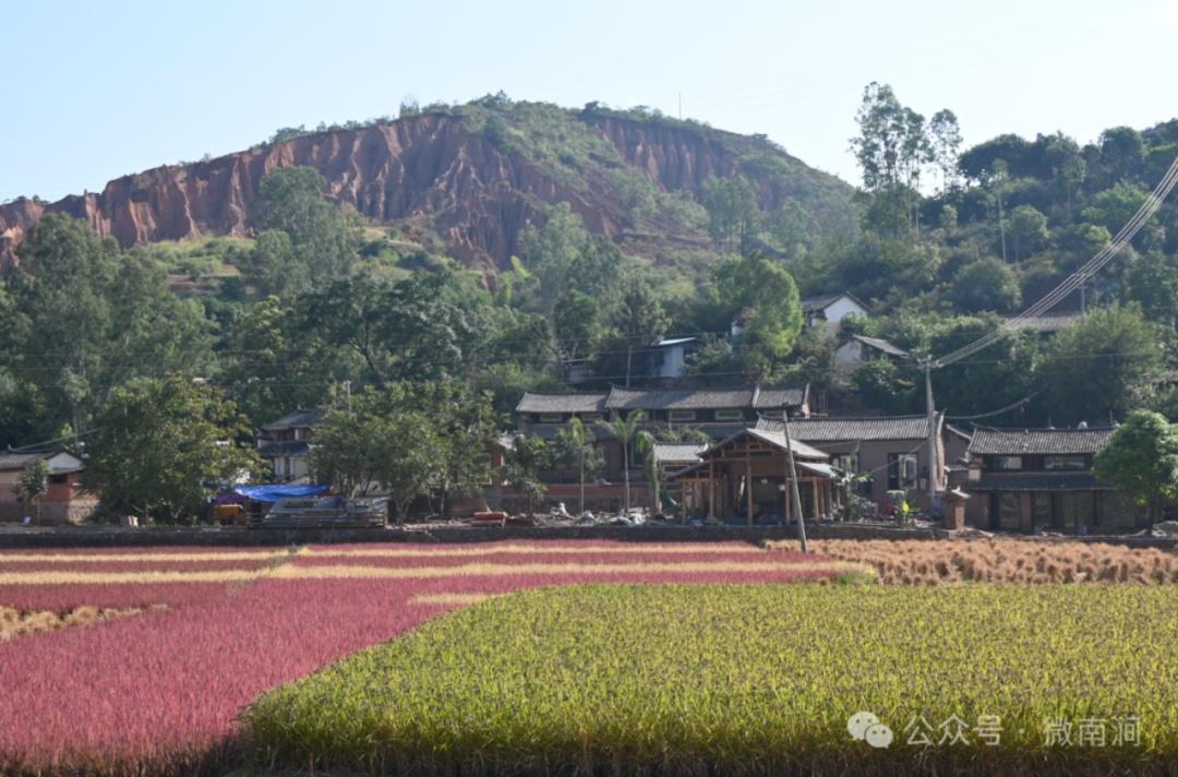 农产品生产基地建设_农产品加工业示范基地_农业生产示范基地