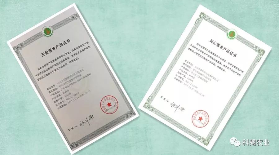 无公害基地认证_无公害基地建设标准_无公害农产品基地建设