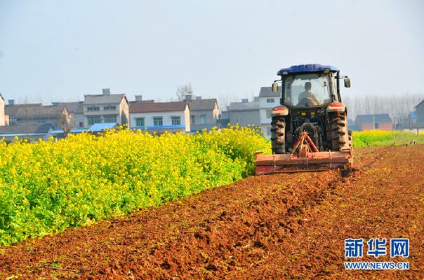 金融业全力支持春耕春种，确保粮食和重要副食品安全