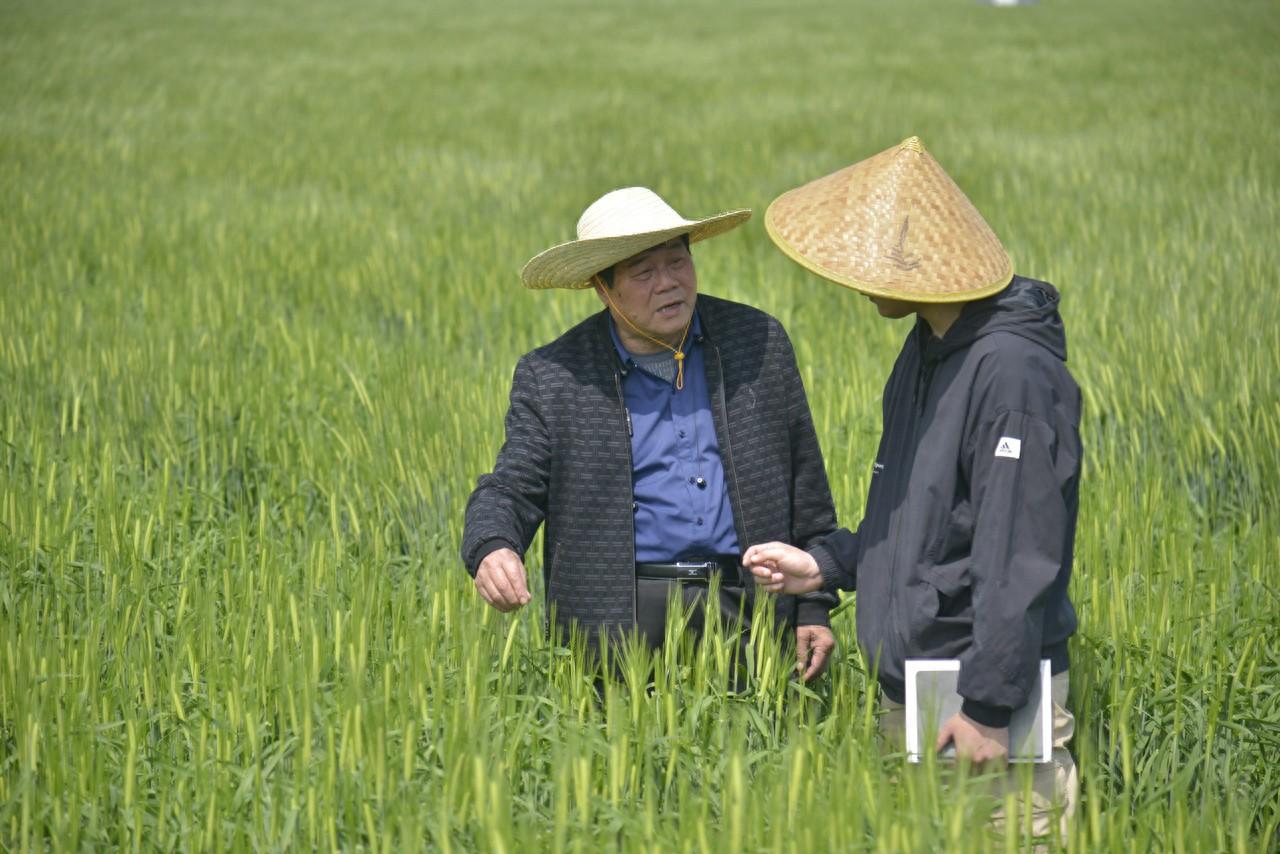 嘉善县干窑镇范东村：我在范东有块田小程序助农增收