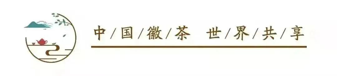 农产品智能化绿色质选技术与装备研讨会在安徽举行