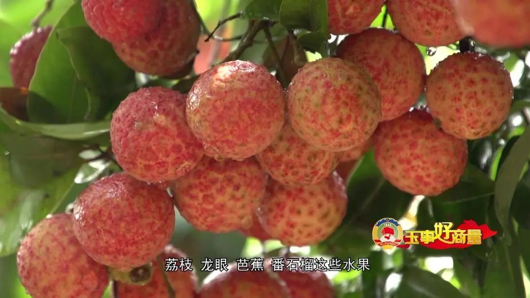 农村电商营销策划方案_农村电商宣传推广活动_农产品电商推广方案