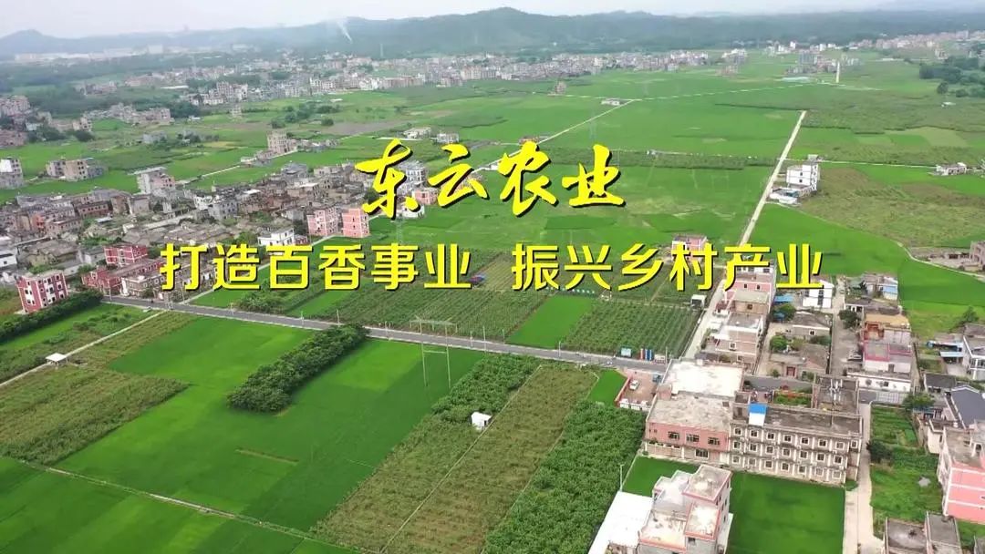 农村电商宣传推广活动_农产品电商推广方案_农村电商营销策划方案