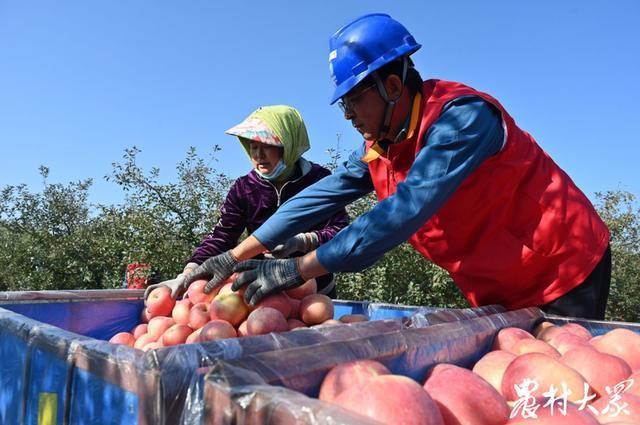 山东省农产品出口额_山东省农产品出口总额_山东省农产品出口贸易