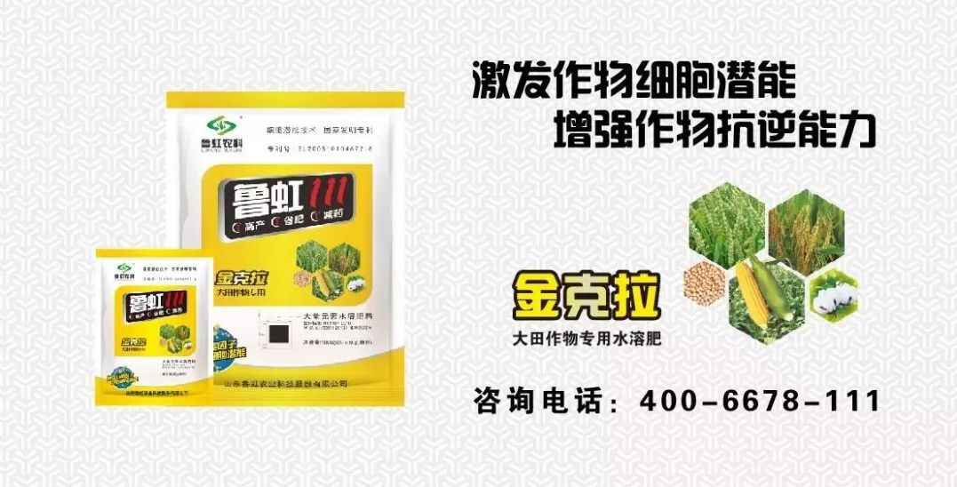 无公害农产品认证书_无公害农产品认证收费吗_无公害农产品认证证书