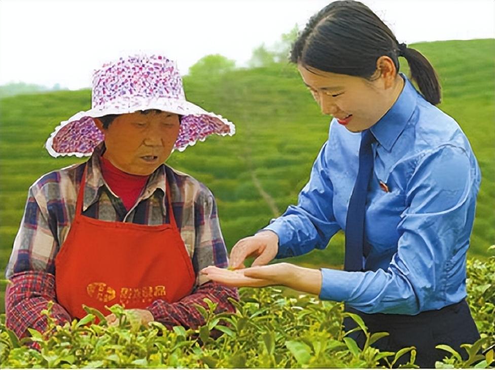 地理标志农产品管理办法_农产品地理标志推广使用_地理标志农产品怎么使用