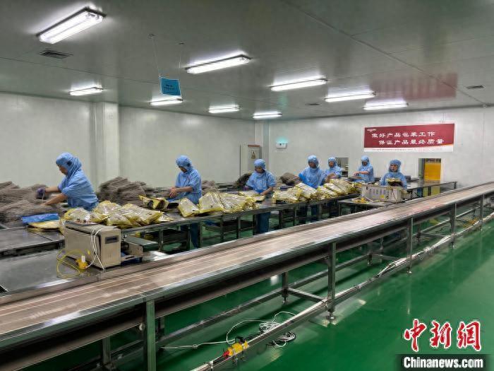 山东潍坊：深化外事服务助力农企发展，打造高端营养绿色食品