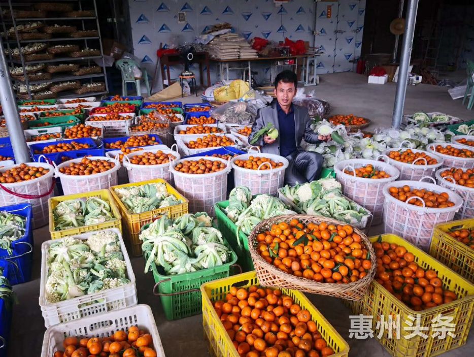 消费扶贫助力脱贫攻坚，龙门县非凡农业旅游专业合作社创新销售路径