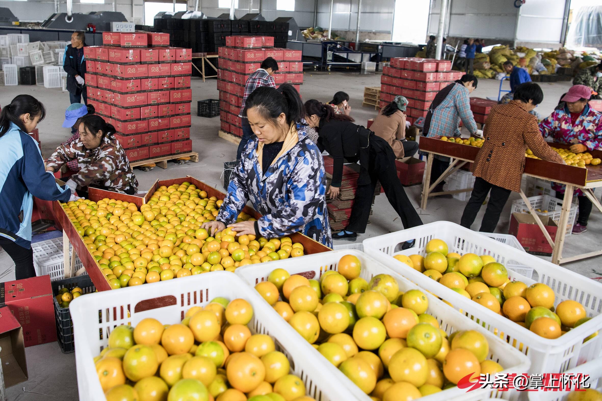 农产品供应物流_农产品物流产业园_中国供销农产品物流园