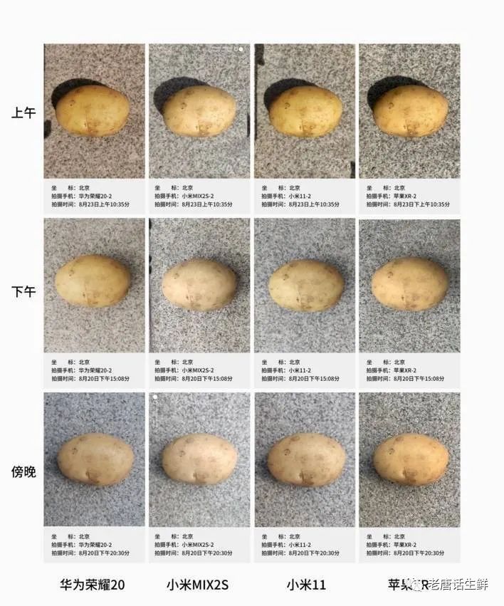 农产品标准_农产品标准化_农产品标准化包含哪四个方面