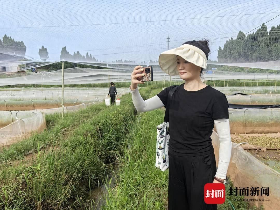 东兴区文化馆工作人员潘玲化身销售员，助力华山村农产品销售