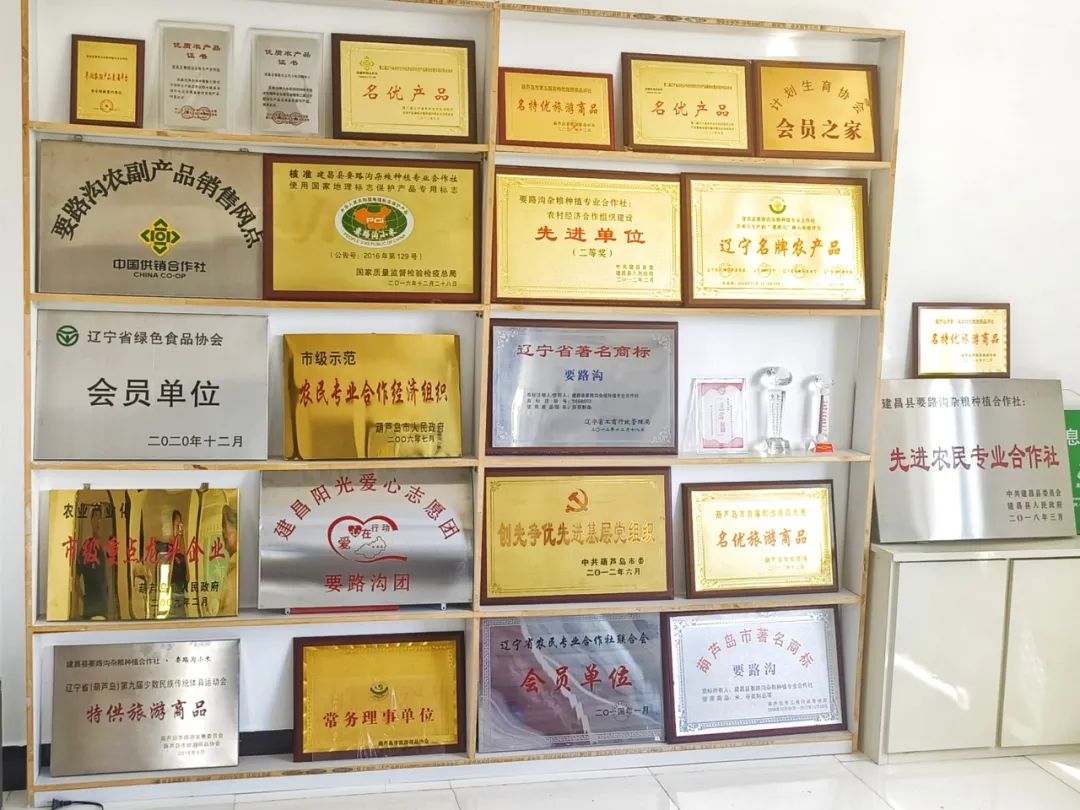 家乡农产品调研_家乡调研农产品发展情况_农产品调研结论